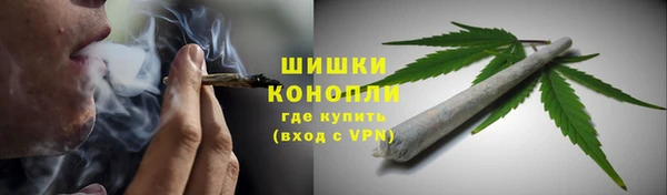 ПСИЛОЦИБИНОВЫЕ ГРИБЫ Армянск
